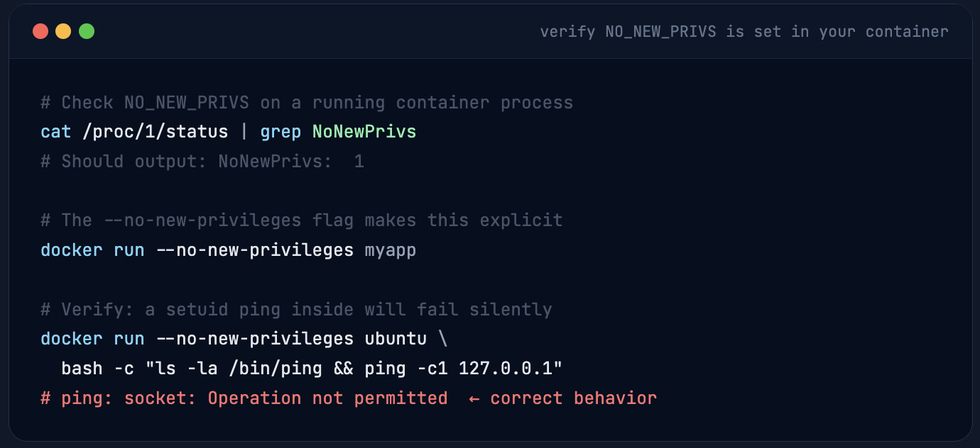 Screenshot 2026-03-07 at 12.59.20PM.png